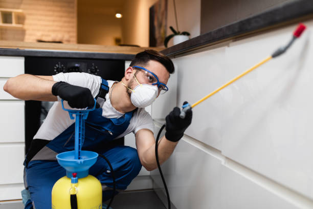 Wasp Removal Services in Glasco, NY