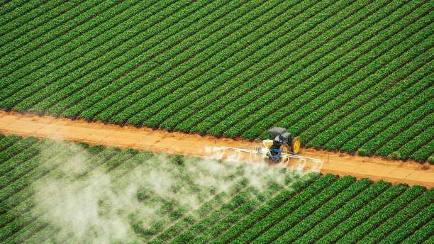 Reliable Glasco, NY Pest Control Solutions