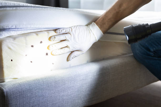 Best Residential Pest Control  in Glasco, NY