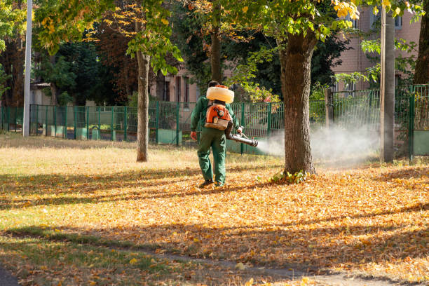 Best Local Pest Control Services  in Glasco, NY