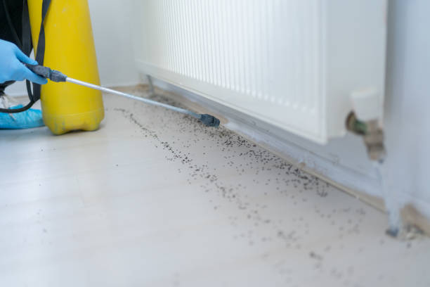 Best Cockroach Control Services  in Glasco, NY